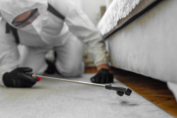 Professional Ant Control technician working in Coats Bend, AL